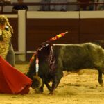 Cali (Colombia). Martes, 31 de diciembre de 2019.