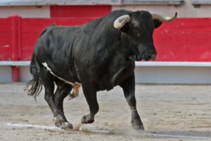 Saint Martin de Crau (Francia) - Sábado 28 de abril de 2018