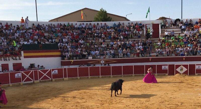 Cella presenta sus novilladas: categoría y homenaje a Curro Vázquez