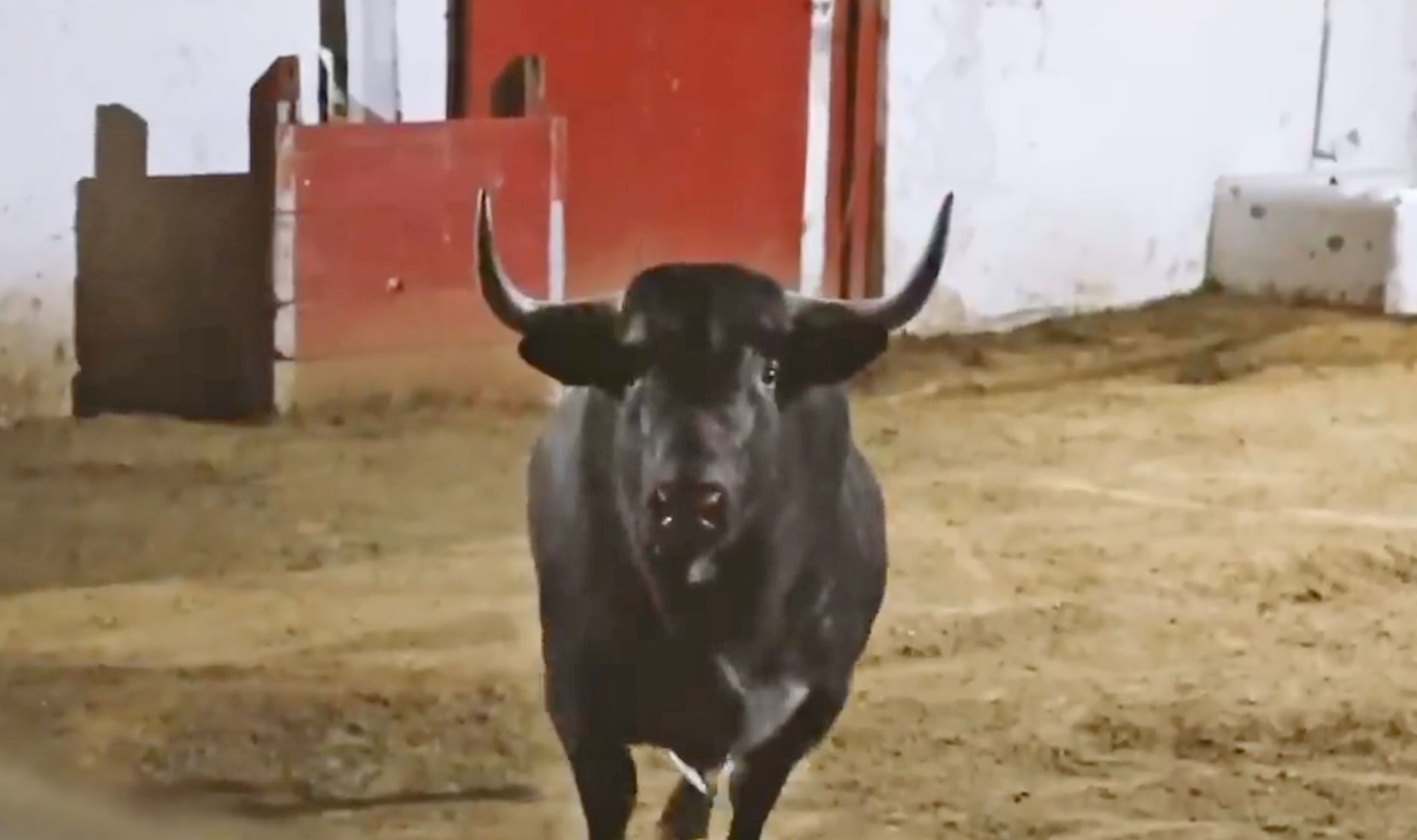 Los de Fernando de la Mora para el Aniversario de La México