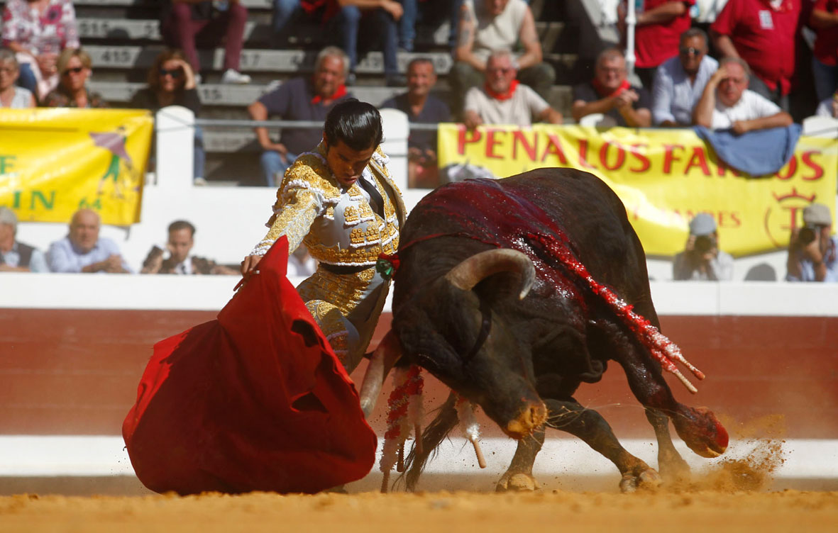 “Busco la quietud y la pureza”