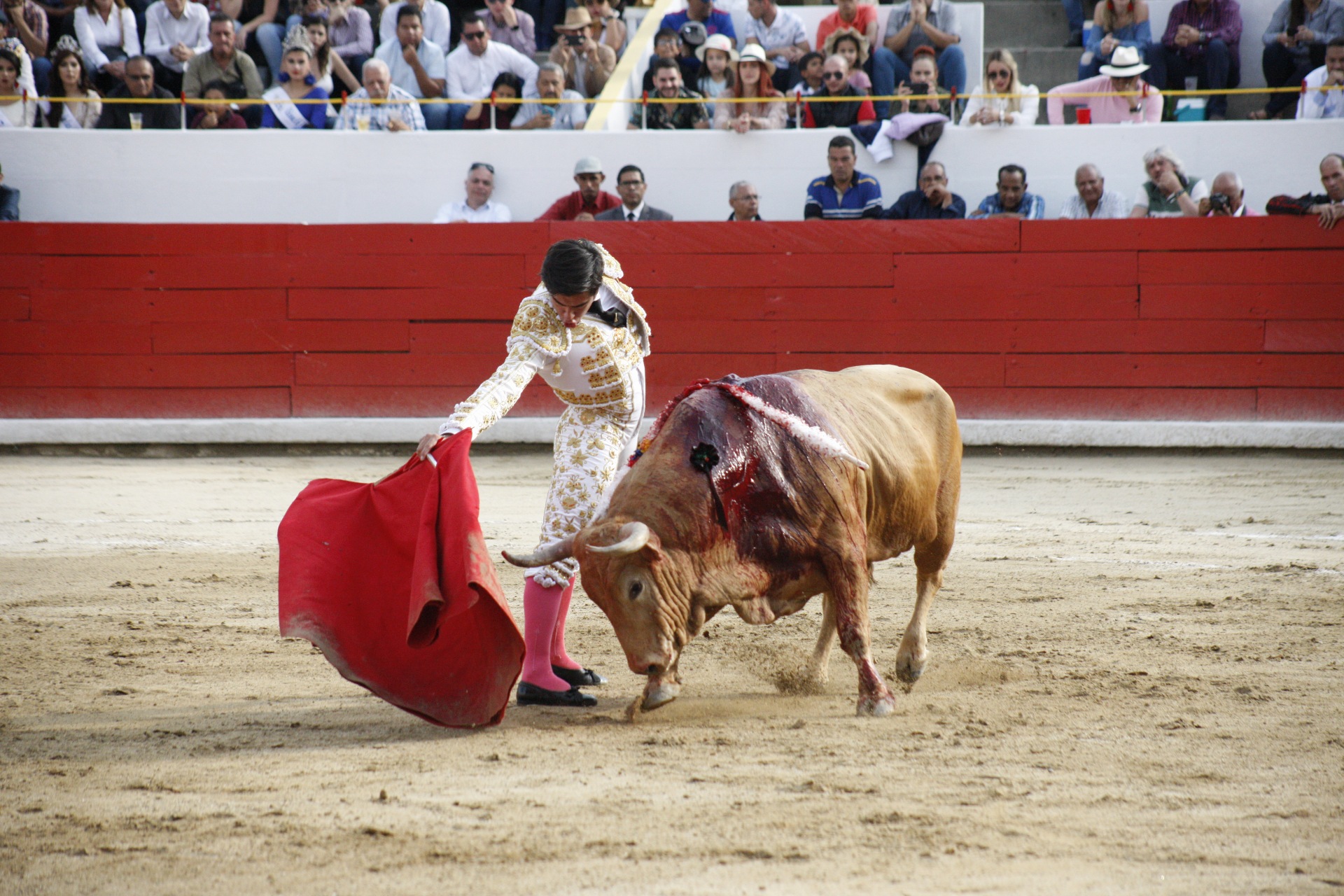 Mérida (Venezuela), sábado 22 de febrero de 2020