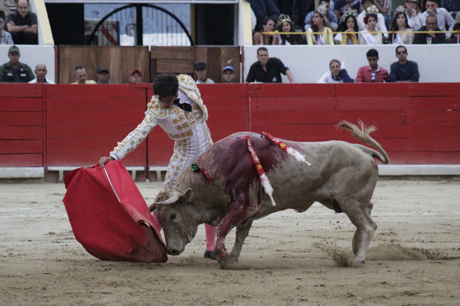 Mérida (Venezuela), sábado 22 de febrero de 2020