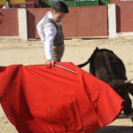 Entrega de premios de la Federación Taurina de Valencia
