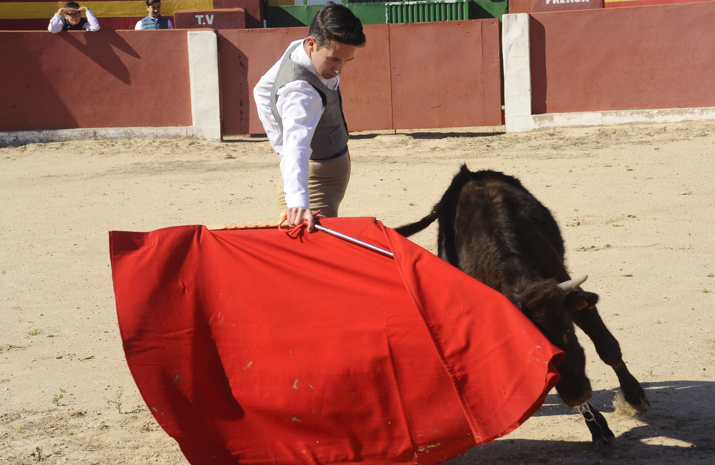 Entrega de premios de la Federación Taurina de Valencia