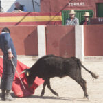 Entrega de premios de la Federación Taurina de Valencia