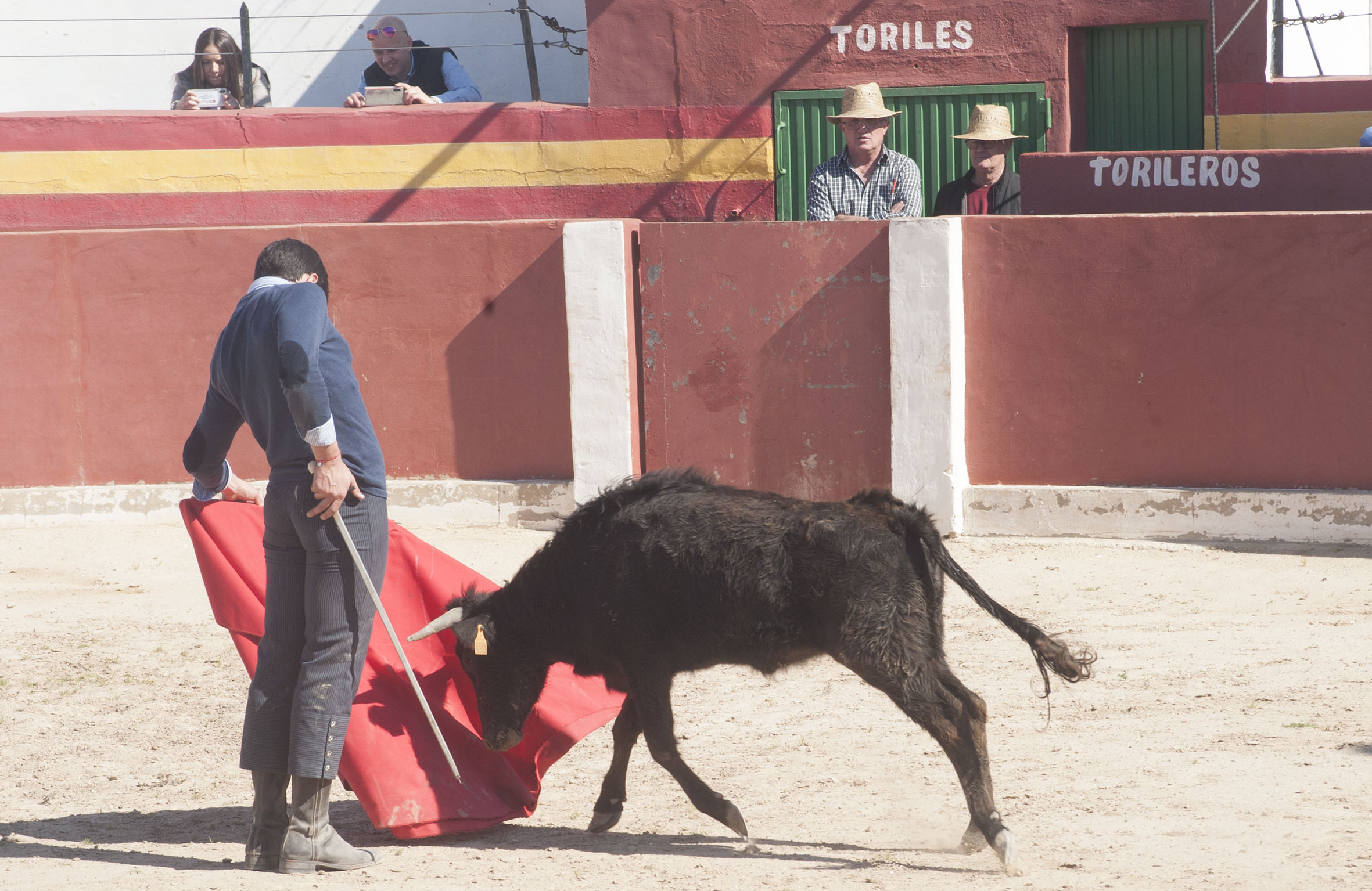 Entrega de premios de la Federación Taurina de Valencia