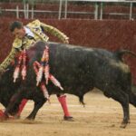 Bogotá, domingo 9 de febrero de 2020.