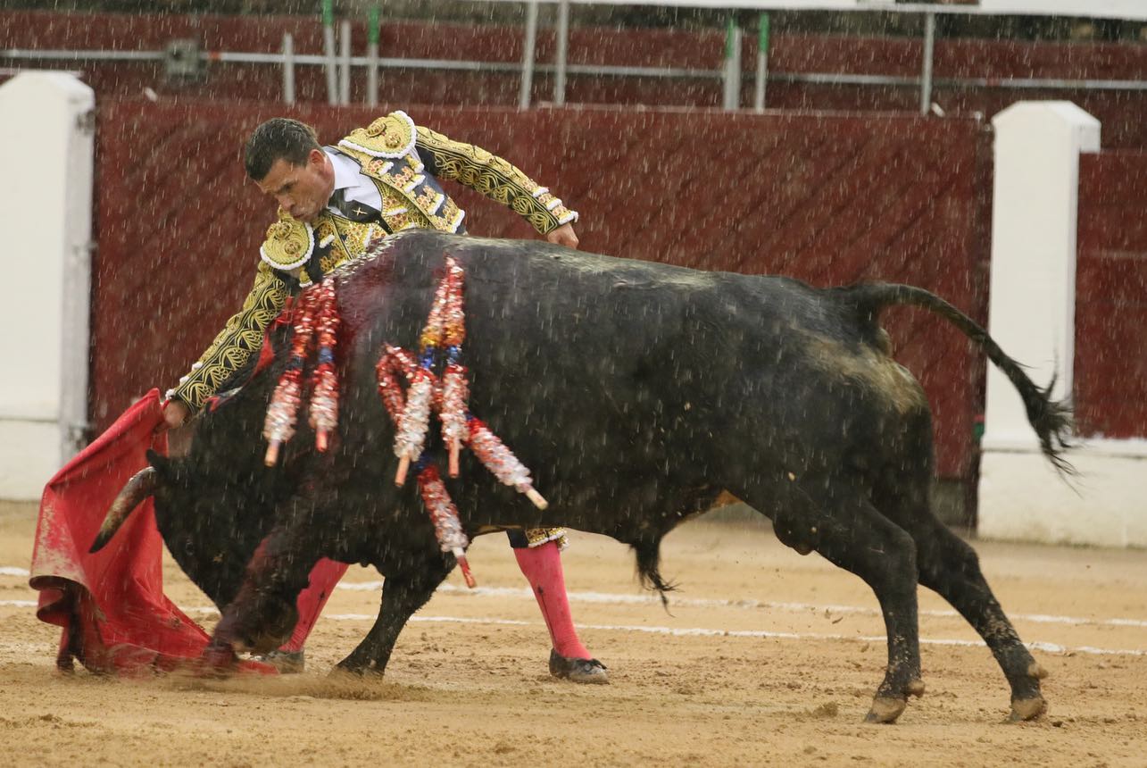 Bogotá, domingo 9 de febrero de 2020.