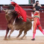 Bogotá, domingo 16 de febrero de 2020.