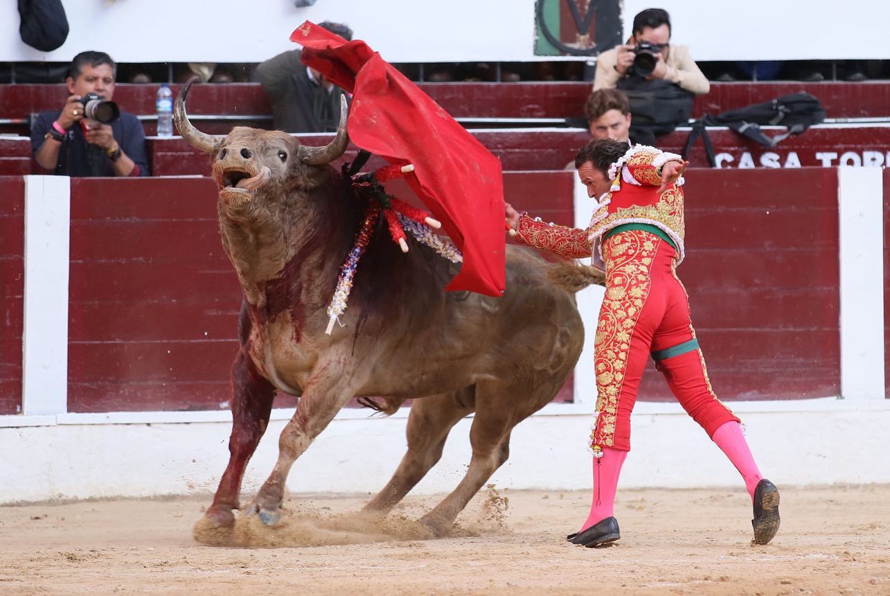 Bogotá, domingo 16 de febrero de 2020.