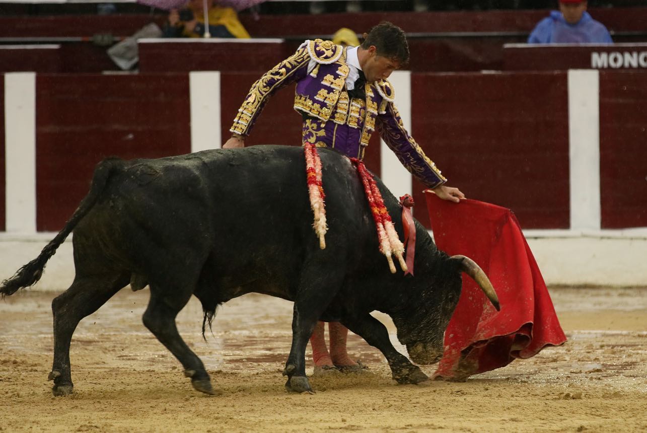 Bogotá, domingo 9 de febrero de 2020.