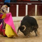 Bogotá, domingo 9 de febrero de 2020.