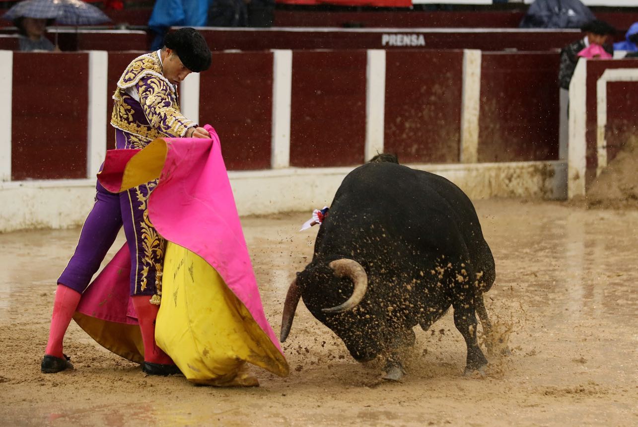 Bogotá, domingo 9 de febrero de 2020.