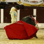 Bogotá, domingo 9 de febrero de 2020.