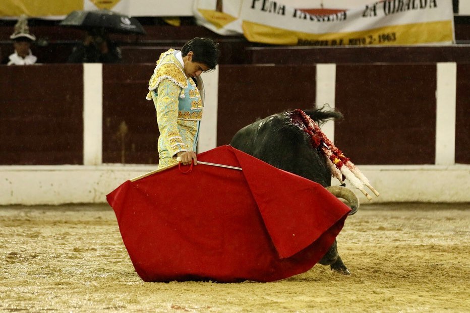 Bogotá, domingo 9 de febrero de 2020.