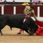 Bogotá, domingo 9 de febrero de 2020.