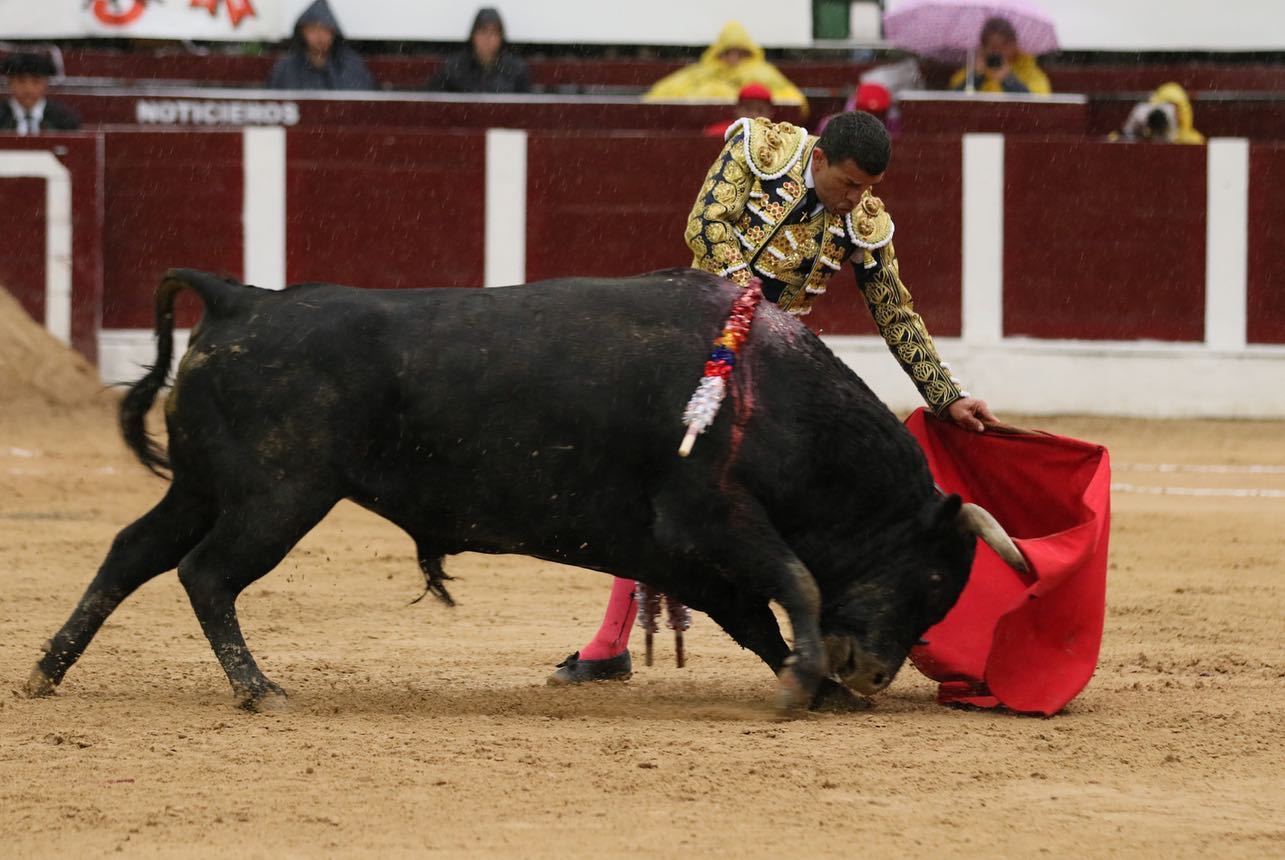 Bogotá, domingo 9 de febrero de 2020.