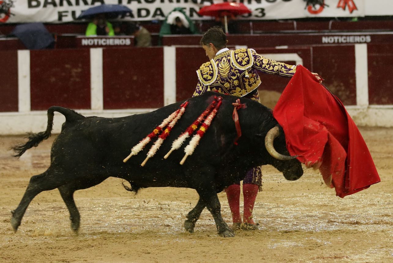 Bogotá, domingo 9 de febrero de 2020.