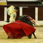 Bogotá, domingo 9 de febrero de 2020.