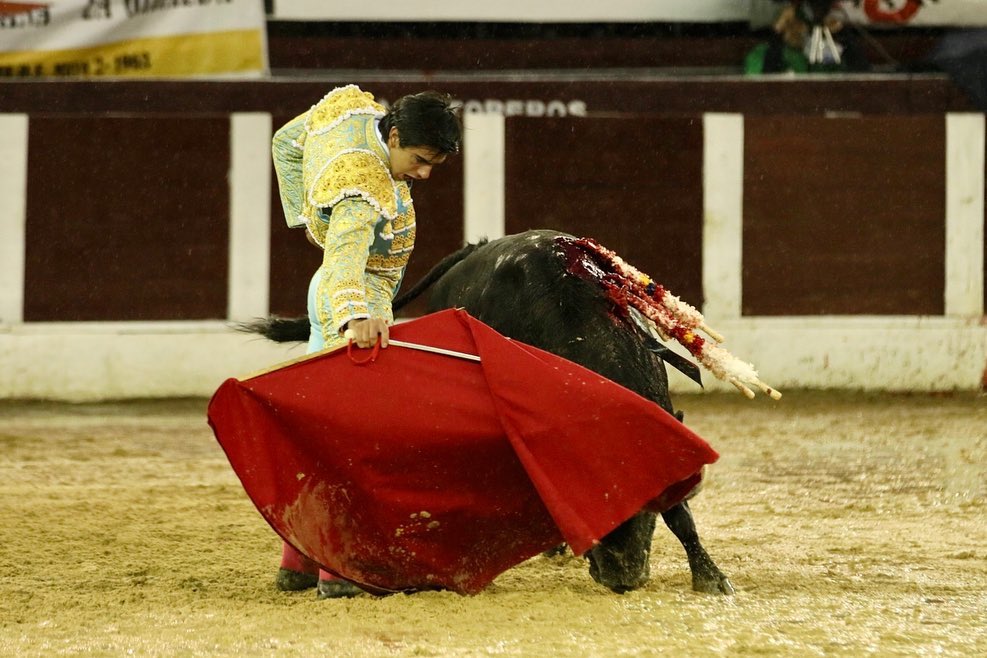 Bogotá, domingo 9 de febrero de 2020.