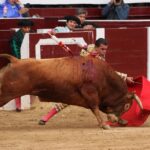 Bogotá, domingo 9 de febrero de 2020.