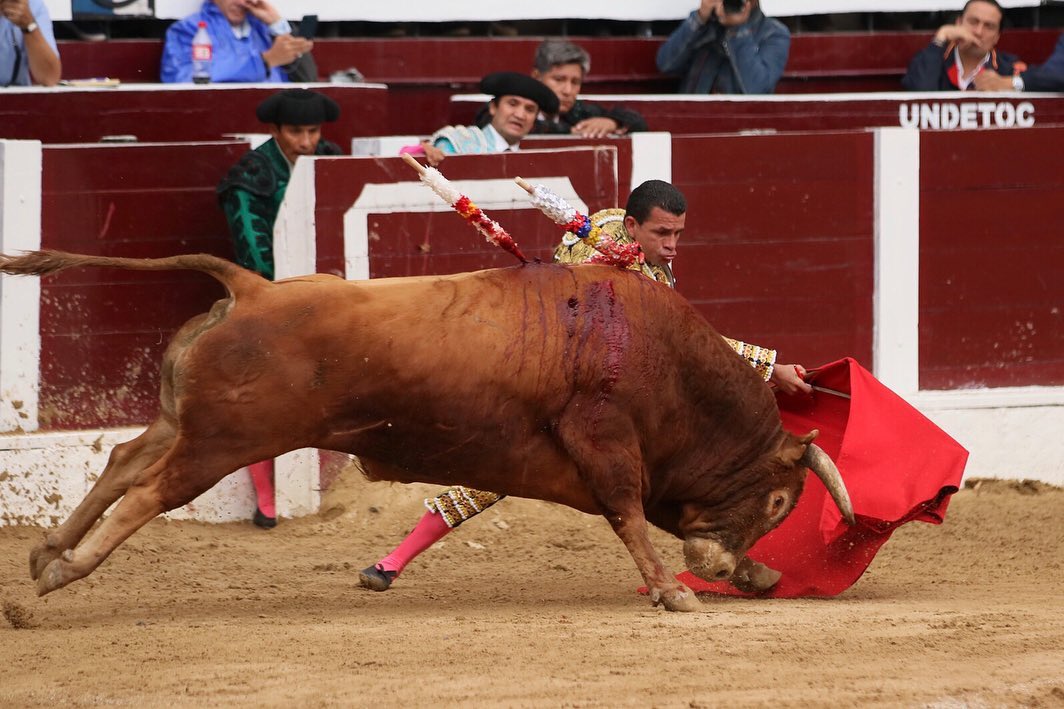 Bogotá, domingo 9 de febrero de 2020.