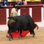 Bogotá, domingo 9 de febrero de 2020.