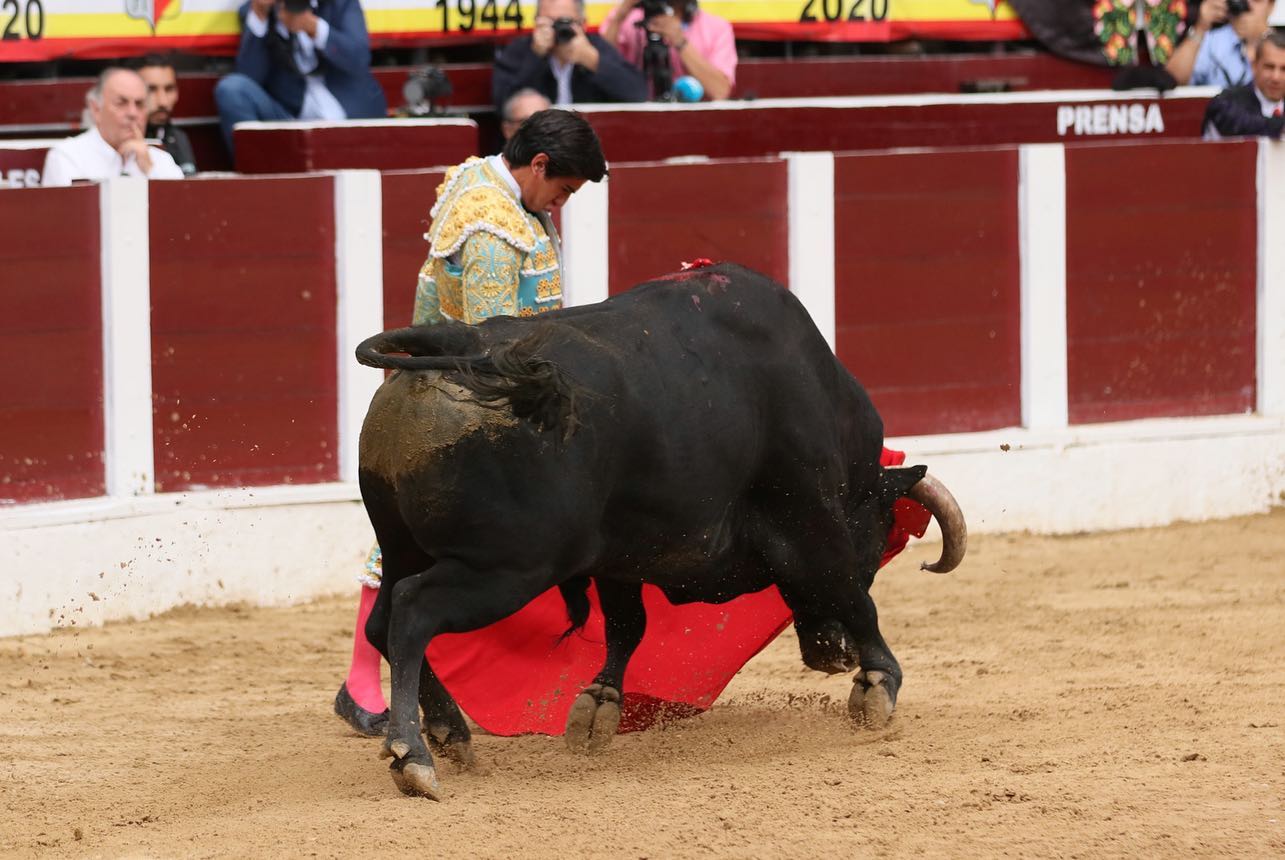 Bogotá, domingo 9 de febrero de 2020.