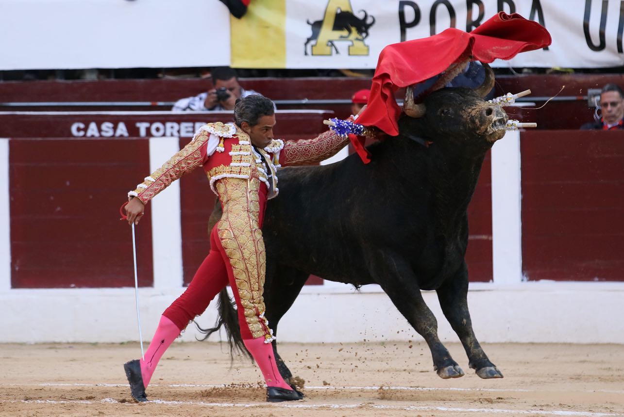 Bogotá, domingo 16 de febrero de 2020.