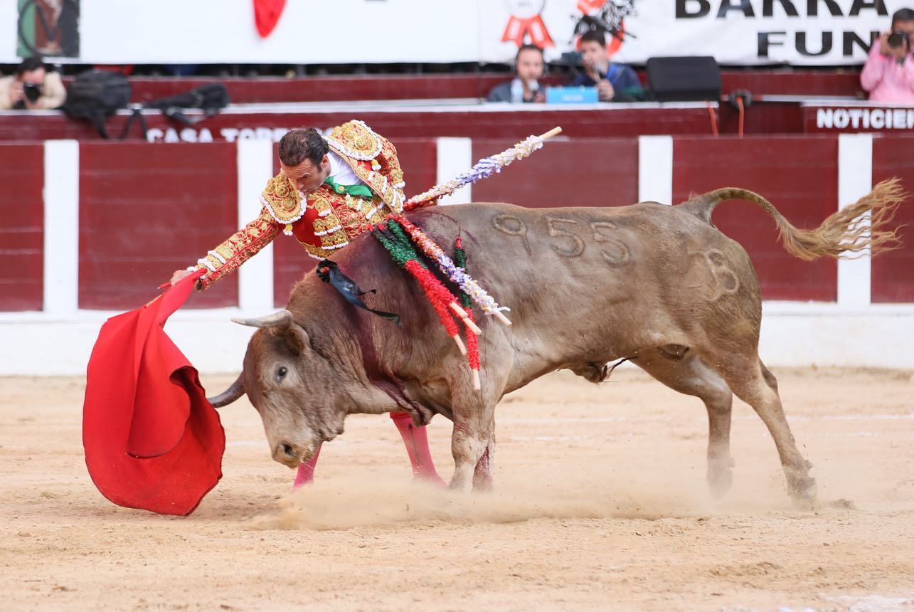 Bogotá, domingo 16 de febrero de 2020.