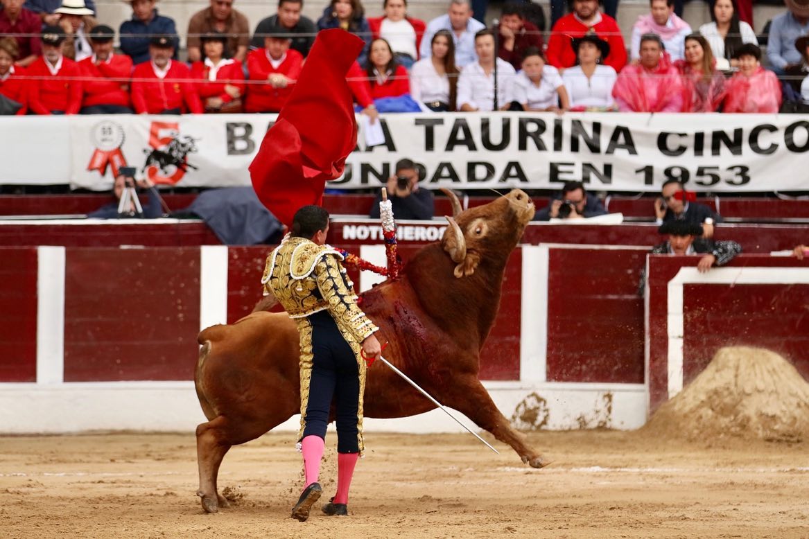 Bogotá, domingo 9 de febrero de 2020.