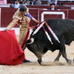 Bogotá, domingo 16 de febrero de 2020.