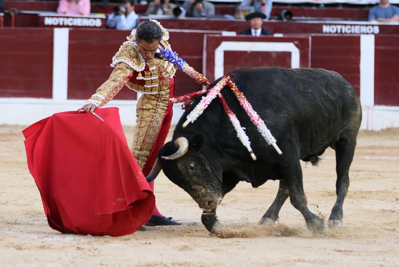 Bogotá, domingo 16 de febrero de 2020.