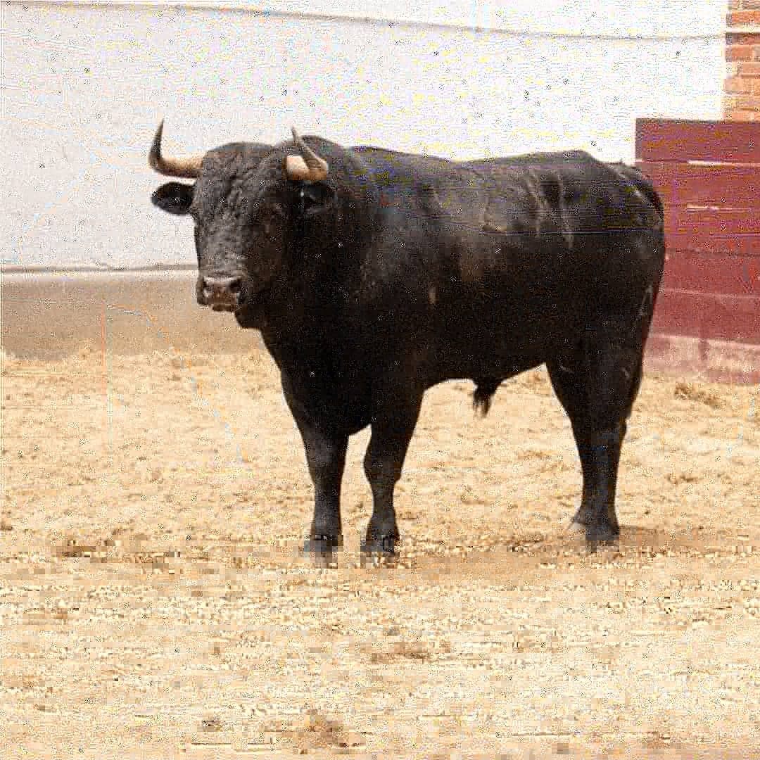 Toros de Ernesto Gutiérrez y Juan Bernardo Caicedo para Bogotá