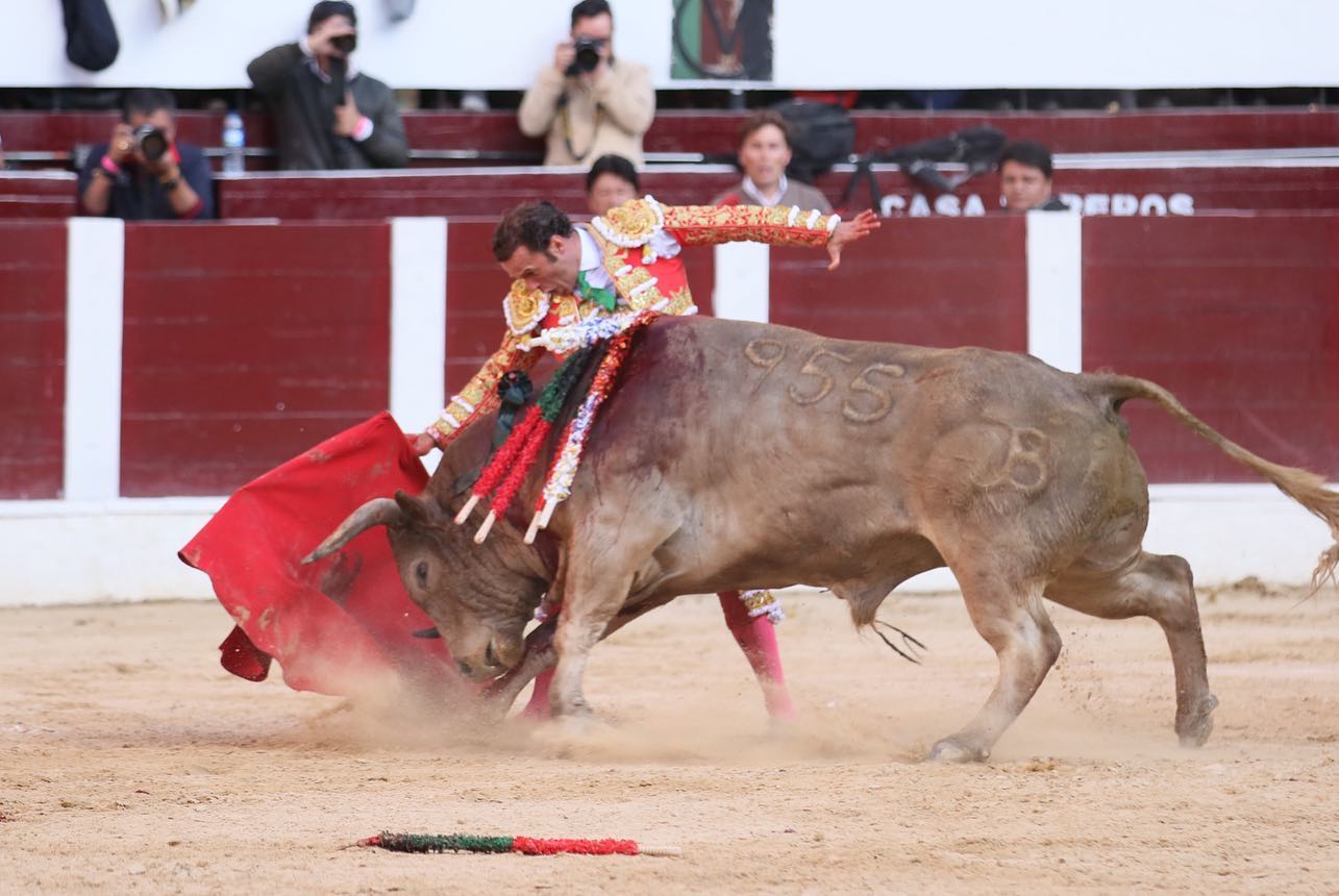 Bogotá, domingo 16 de febrero de 2020.