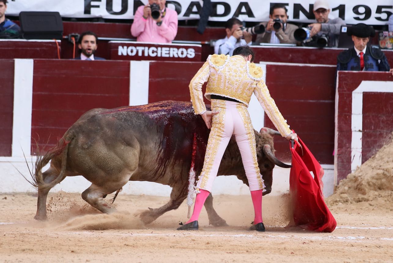 Bogotá, domingo 16 de febrero de 2020.