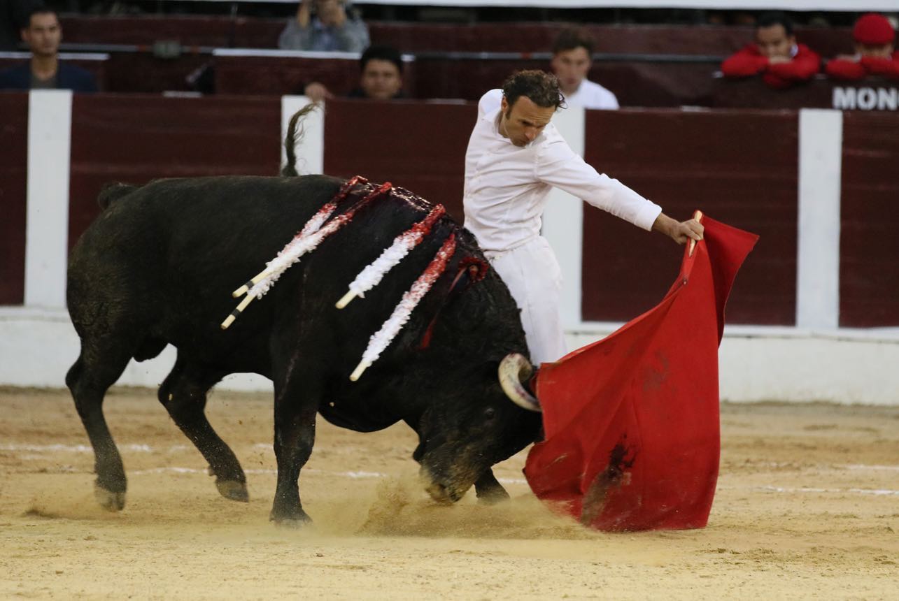 Bogotá, domingo 16 de febrero de 2020.