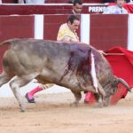 Bogotá, domingo 16 de febrero de 2020.