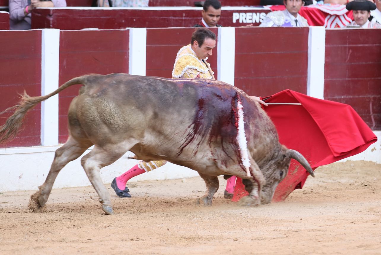 Bogotá, domingo 16 de febrero de 2020.