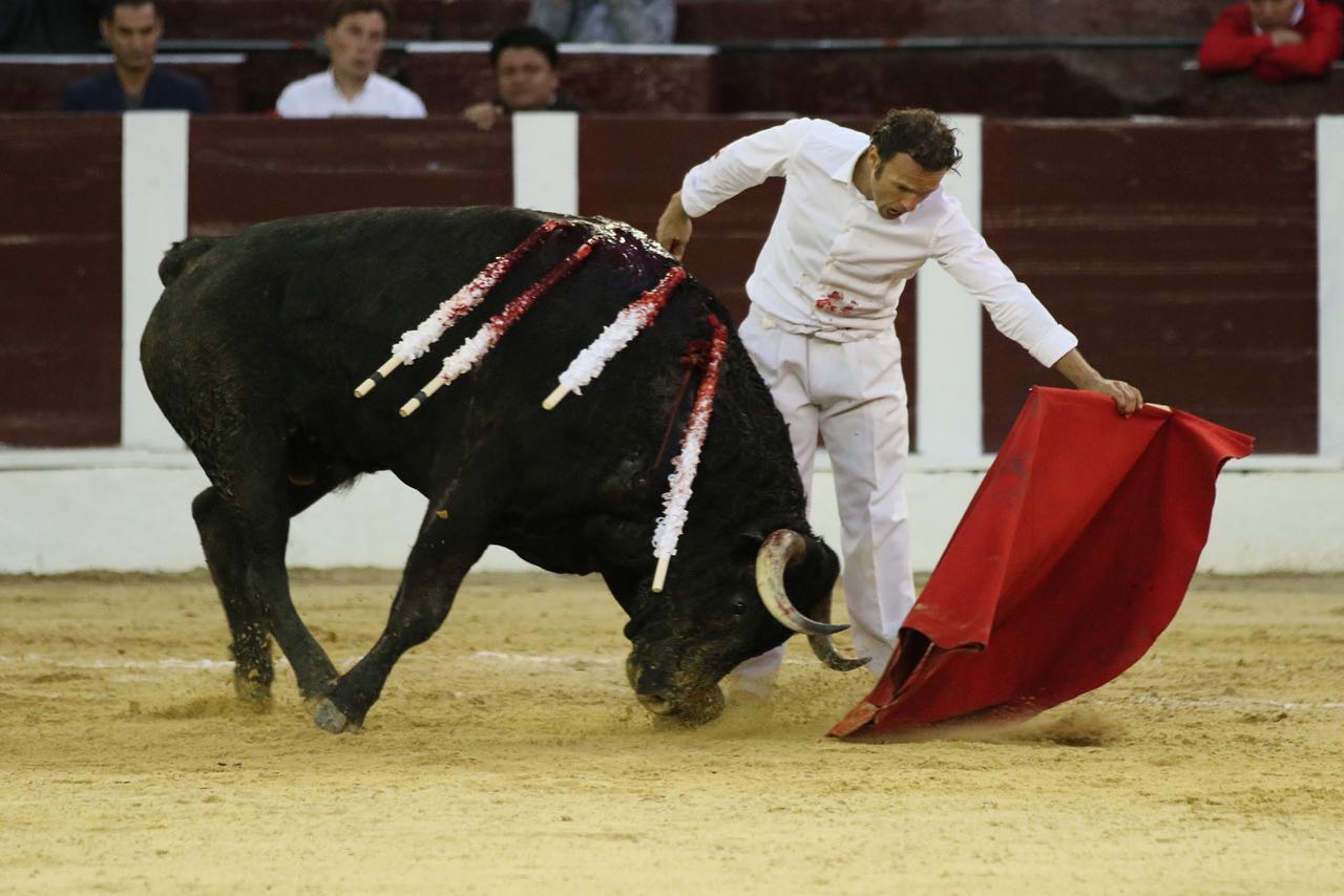 Bogotá, domingo 16 de febrero de 2020.