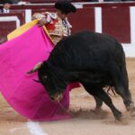 Bogotá, domingo 16 de febrero de 2020.