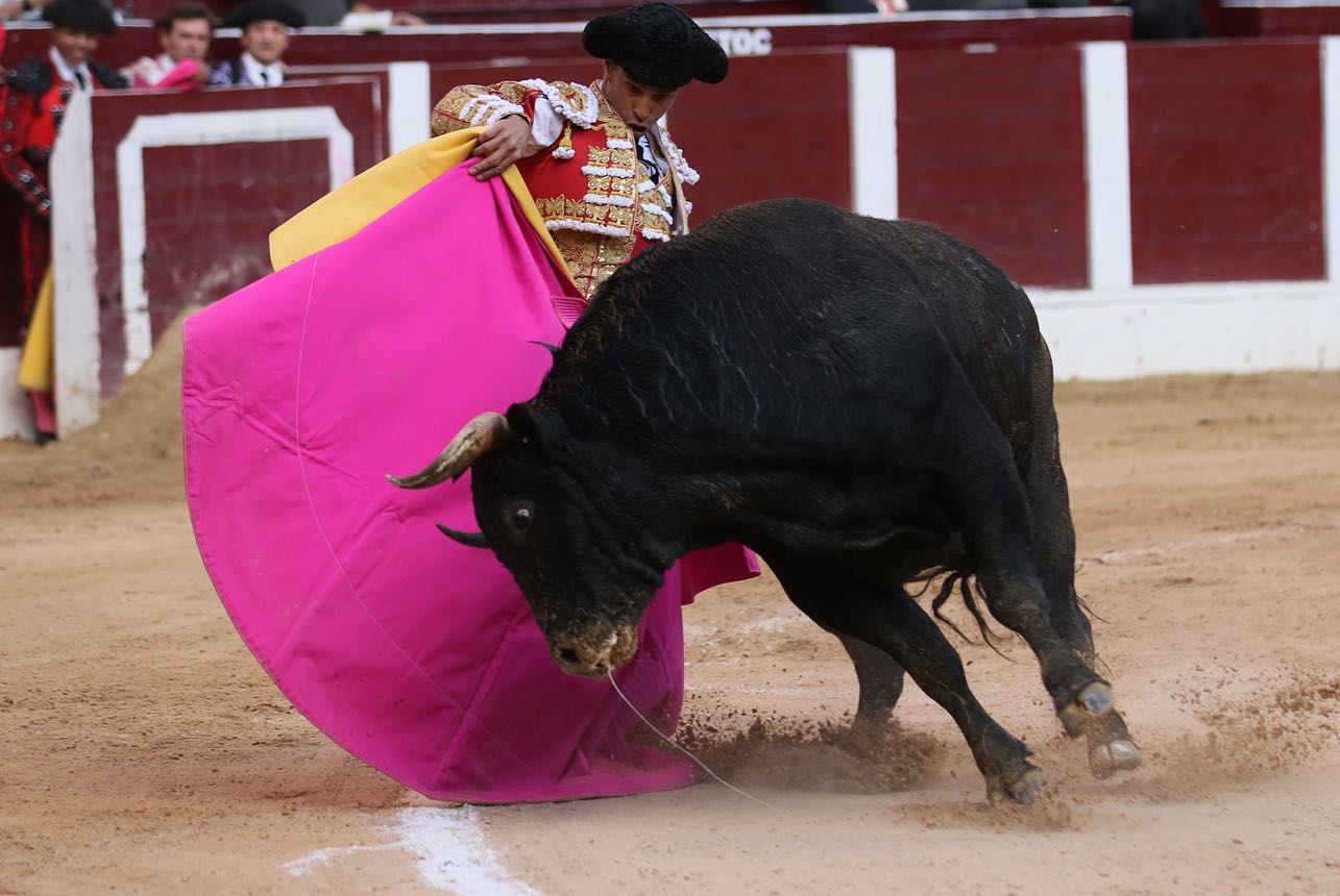 Bogotá, domingo 16 de febrero de 2020.