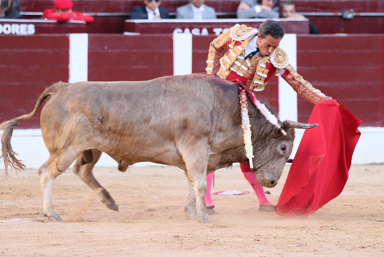 Bogotá, domingo 16 de febrero de 2020.