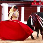 Bogotá, domingo 16 de febrero de 2020.