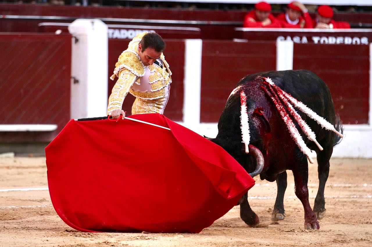 Bogotá, domingo 16 de febrero de 2020.