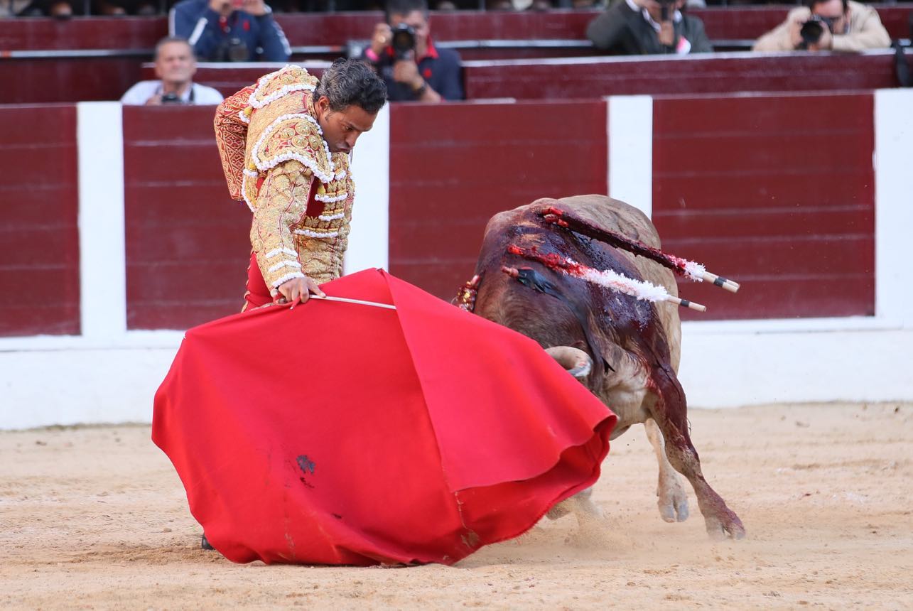 Bogotá, domingo 16 de febrero de 2020.