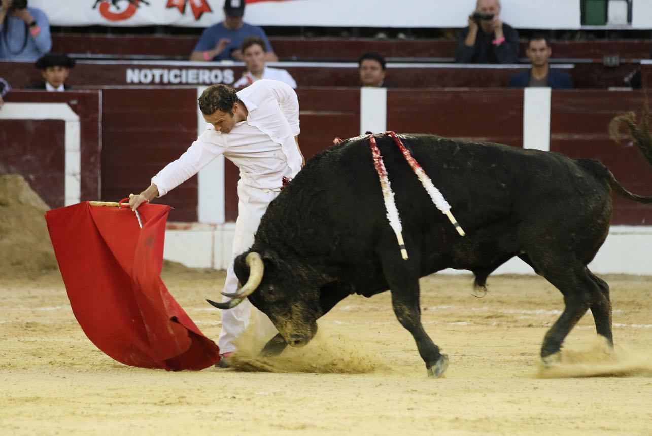 Bogotá, domingo 16 de febrero de 2020.