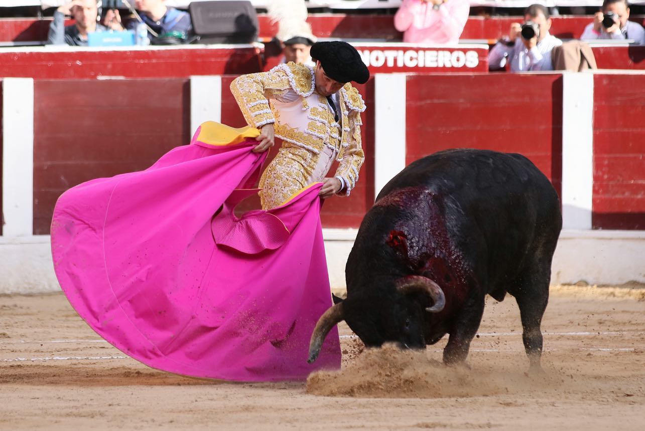 Bogotá, domingo 16 de febrero de 2020.