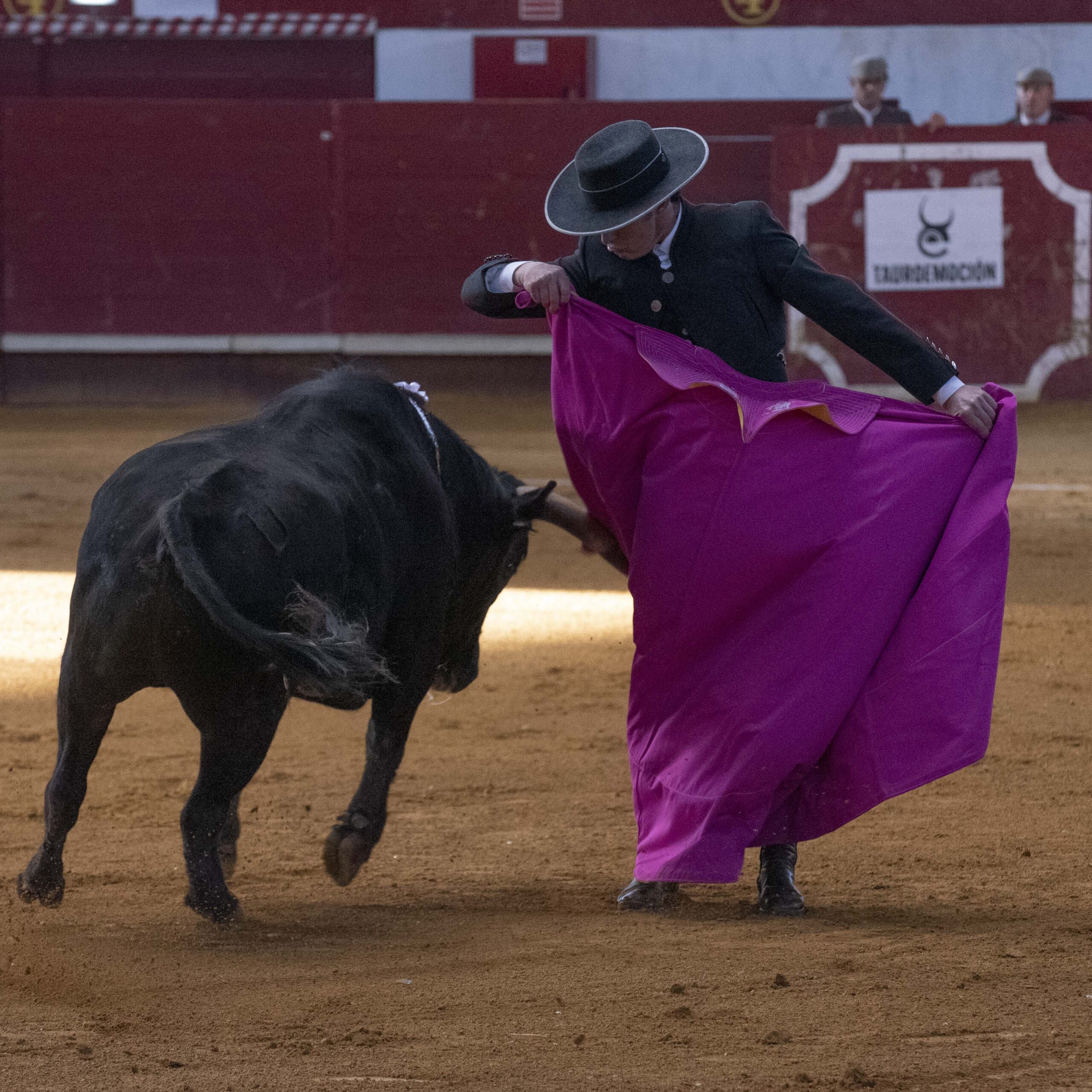 Arroyo de la Encomienda, domingo 16 de febrero de 2020